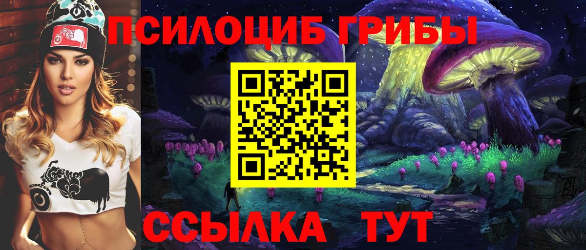 Жуковский  Псилоцибиновые грибы мухоморы  Псилоцибиновые грибы мухоморы  Вход с VPN 