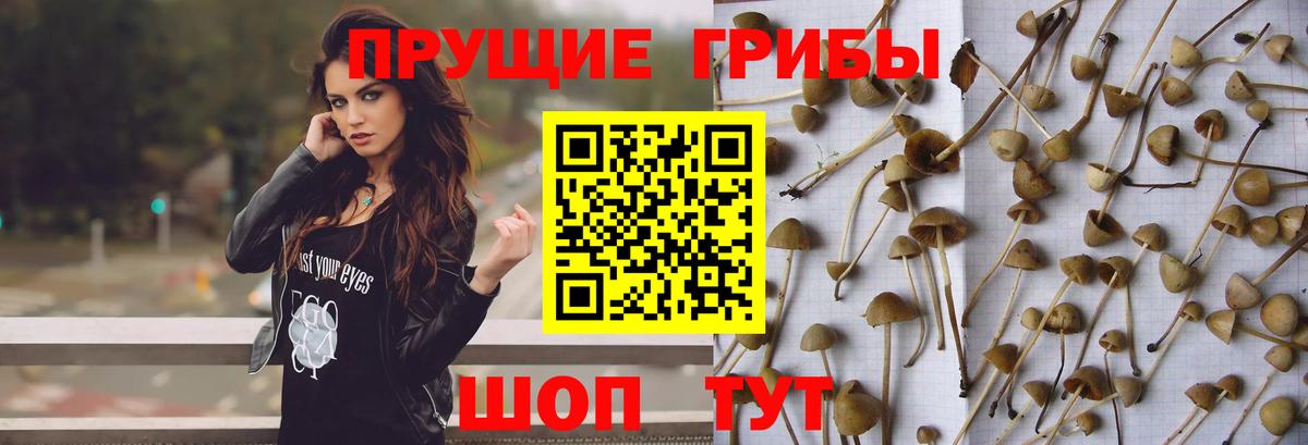 Галлюциногенные грибы Magic Shrooms Жуковский